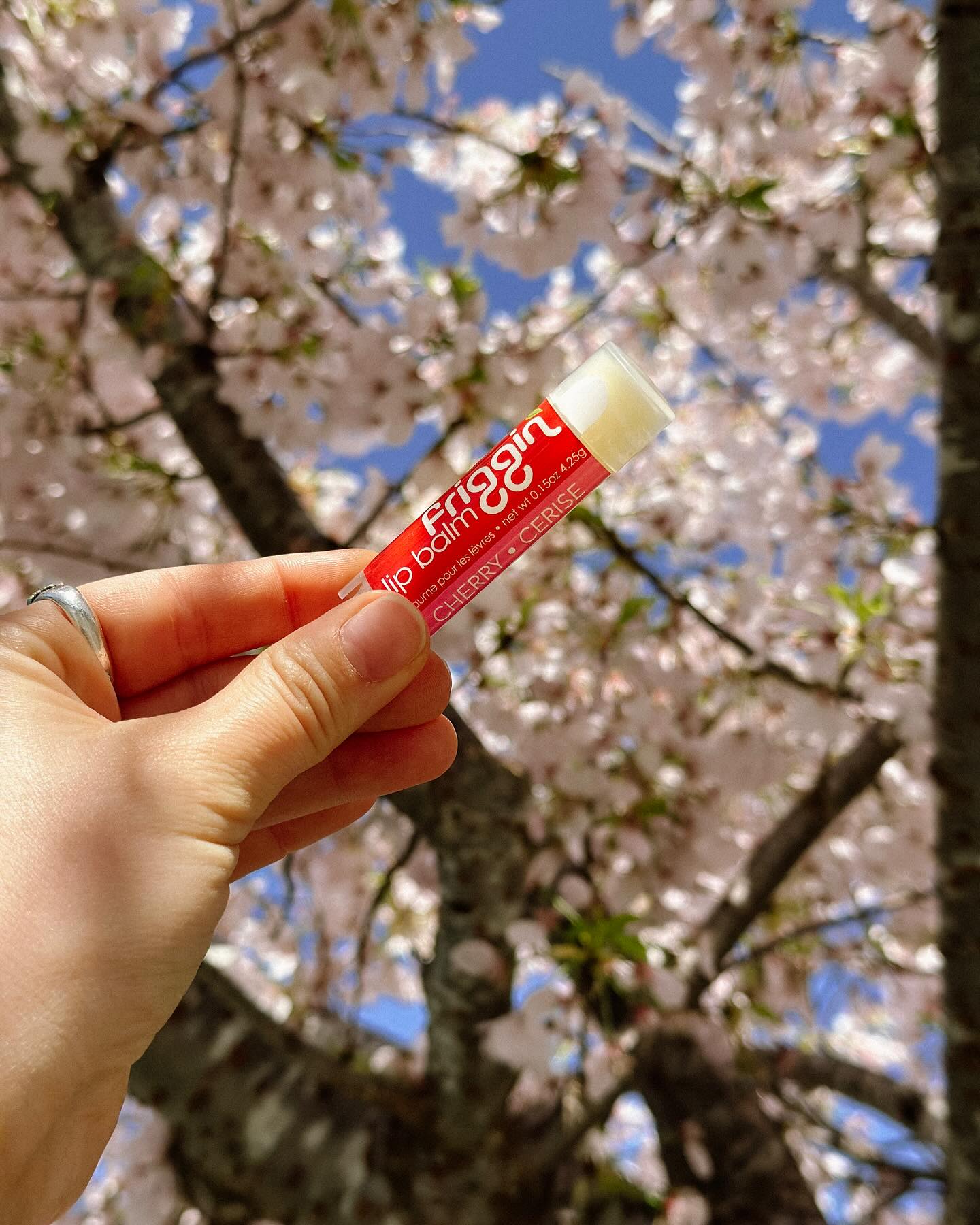 Gingerbread Natural Lip Balm – Handmade in Canada – friggin